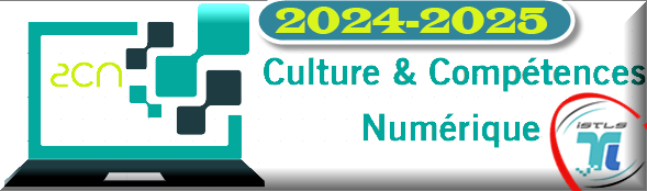 Culture et compétences numériques (2024-2025)